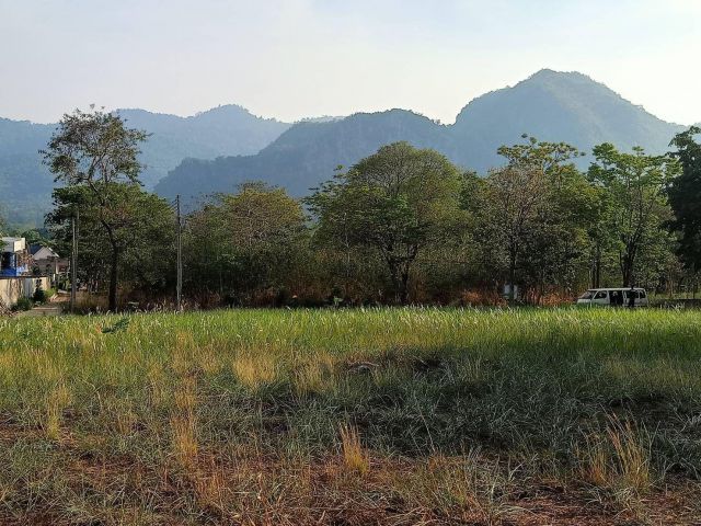 ขายที่ดินติดเขา หมูสี วิวเขาใหญ่สวยมาก 360 ตร.ว ใกล้โครงการ Provence แปลงสวยหายาก วิวเขาหน้าหลัง อยู่เส้นกุดคล้าผ่านศึก
