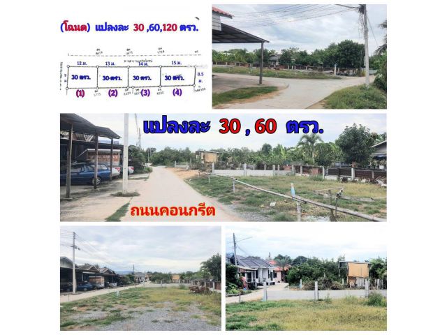 (โฉนด) ที่ดิน 30-120 ตรว.(พร้อมถมแล้ว) และรั้วคอนกรีต ถนน ไฟฟ้า น้ำประปา (คลองไผ่ขวาง 300 ม.) ซอย 9 คลองไผ่ขวาง ต.ไผ่ขวาง อ.เมืองสุพรรณฯ จ.สุพรรณบุรี