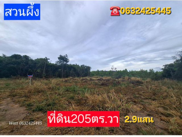ขายที่ดินสวนผึ้ง205ตร.วา บรรยากาศดีเงียบสงบ2.9แสนบาท