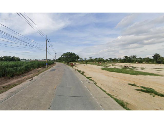 ขายที่ดิน 135 ไร่ ติดถนนศรีราชา-หนองยายบู่ ใกล้ท่าเรือแหลมฉบัง ต.หนองขาม อ.ศรีราชา จ.ชลบุรี