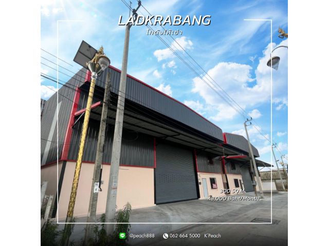 ให้เช่า โกดังพร้อมสำนักงาน 300 ตร.ม. ใกล้โรบินสันลาดกระบัง ประเวศ ใกล้มอเตอร์เวย์ ใกล้สุวรรณภูมิ