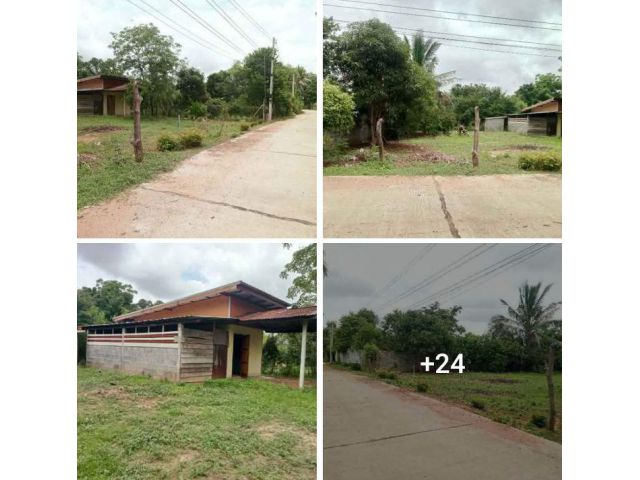 !!!!บ้านสวนโฉนด1ไร่52ตรว.590,000