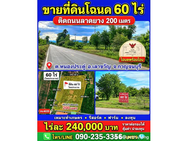 ขายที่ดิน61ไร่ ติดถนน กจ 4035 หน้าติดถนน200ตรว ต.หนองประดู่ อ.เลาขวัญ จ.กาญจนบุรี