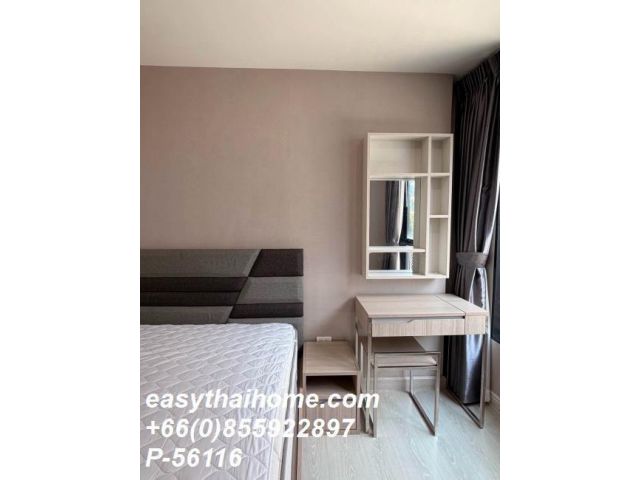 P-56116 ให้เช่า The Niche Mono Sukhumvit 50 (เดอะ นิช โมโน สุขุมวิท 50) | 1 ห้องนอน 1 ห้องน้ำ | วิวโครงการ