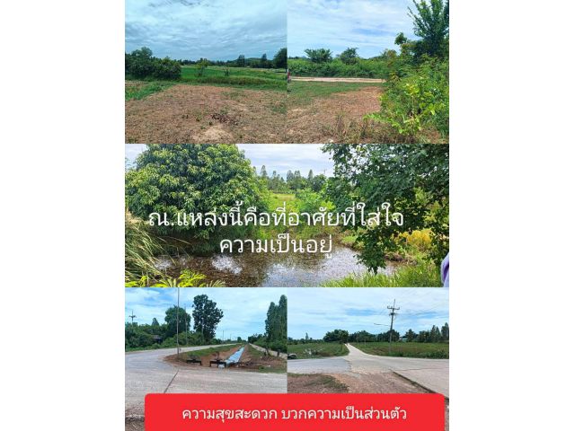แปลงนี้สวยจริง เราจึงแนะนำซึ่งทำเลอยากให้รับรู้ โปรดเข้าใจตรงกันนะครับ ไม่เอาอะไรเทาๆเราไม่บอก แปลงนี้ดีเราจึงบอก