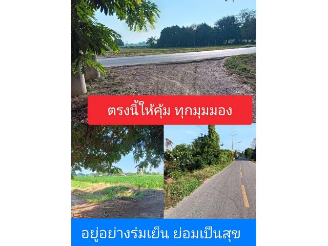 เลือกผิดคิดไปอีกนาน มองแปลงนี้สิครับอาจจะตรงกับใจแต่แรก เลือกที่อยู่อาศัยไม่ไกลท่ามะกา แปลงที่น่าคบหาจะพาให้มาถูกทาง