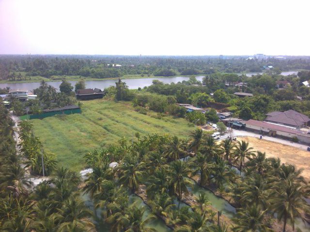 ที่ดินติดแม่น้ำท่าจีน3ไร่ท่าตลาด ใกล้วัดไร่ขิง450เมตร