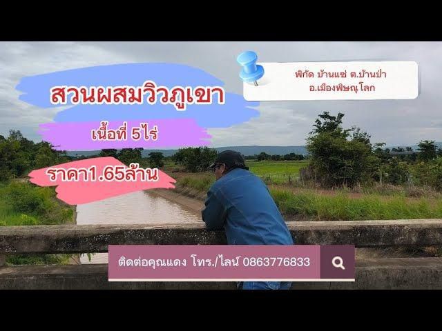 ที่ดินสวนผสมวิวภูเขา ติดน้ำ-ติดถนน ถมแล้วบางส่วน แปลงสวยที่สุดในย่านนี้ 5ไร่ ราคาเหมา 1.65ล้าน