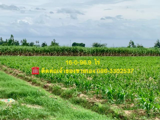 ที่ดินทำเลทองผืนใหญ่16ไร่ วังศาลา ท่าม่วง แปลงสวย ทำเลดี แหล่งชุมชน ใกล้ทางด่วนM81 จากกรุงเทพเพียง1ชม. คมนาคมสะดวก