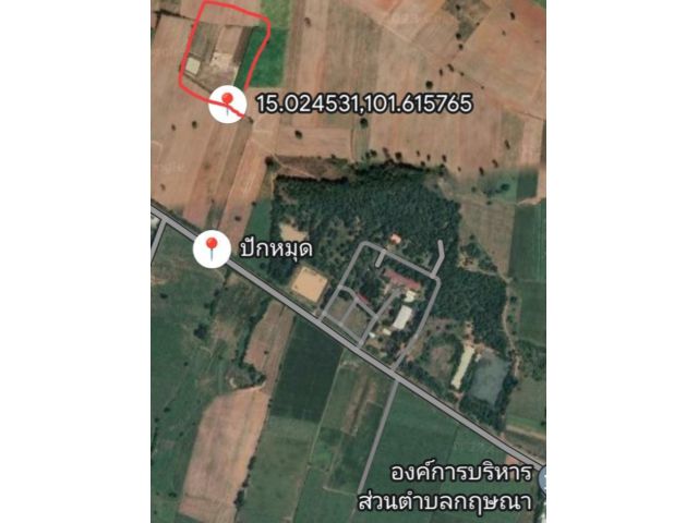ขายที่ดิน 12 ไร่ พร้อมบ้านพักและสระเก็บน้ำ( 1ไร่ )
