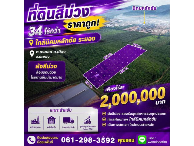ที่ดินสีม่วง