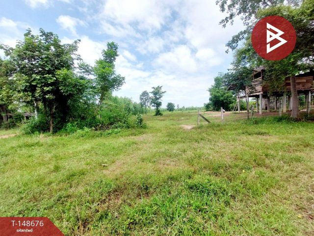 ขายที่ดิน เนื้อที่ 24 ไร่ 24 ตร.วา โพนพิสัย หนองคาย