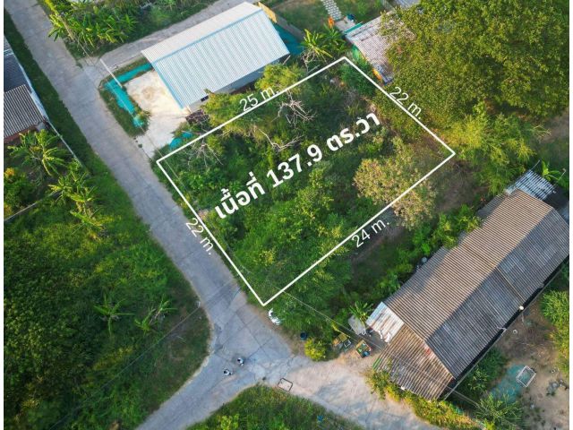 ขายที่ดินบ้านเพ-ระยอง 137 ตรว. ซอยเพรัก3/3 ใกล้ตลาดบ้านเพ-2.3กม. อ.เมืองระยอง