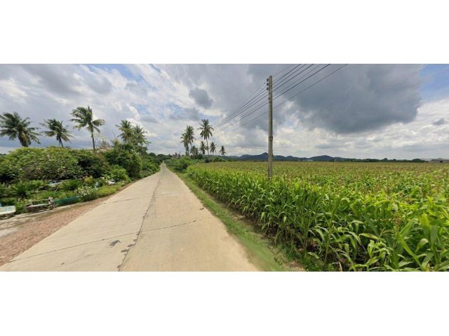 ขายที่ดินต.ช่องสาริกา ติดถนน, ไฟฟ้า 3 เฟส โฉนดครุฑแดงเนื้อที่ 65.5 ไร่ เหมาะสร้างโกดังคลังสินค้า