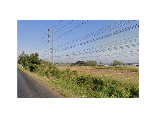 ขายที่ดิน 93 ไร่ ติดถนนสายโชคชัย-เด่นอุดม ต.แหลมทอง อ.หนองบุญมาก จ.นครราชสีมา