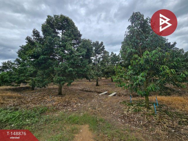 ขายที่ดิน เนื้อที่ 20 ไร่ 1 งาน 4.8 ตร.วา หนองหญ้าปล้อง เพชรบุรี