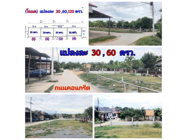 (โฉนด) ที่ดิน 30-120 ตรว.(พร้อมถมแล้ว) และรั้วคอนกรีต ถนน ไฟฟ้า น้ำประปา (คลองไผ่ขวาง 300 ม.) ซอย 9 คลองไผ่ขวาง ต.ไผ่ขวา