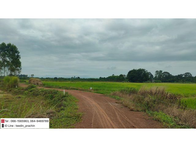 ขายที่เกษตร ที่ทำนา ไร่ละ 130,000 ที่ดินเนื้อที่ 7 ไร่เศษๆ  โฉนดครุฑแดง