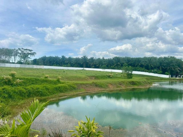 ที่ดินสวย3ไร่ ท้ายเหมือง พังงา
