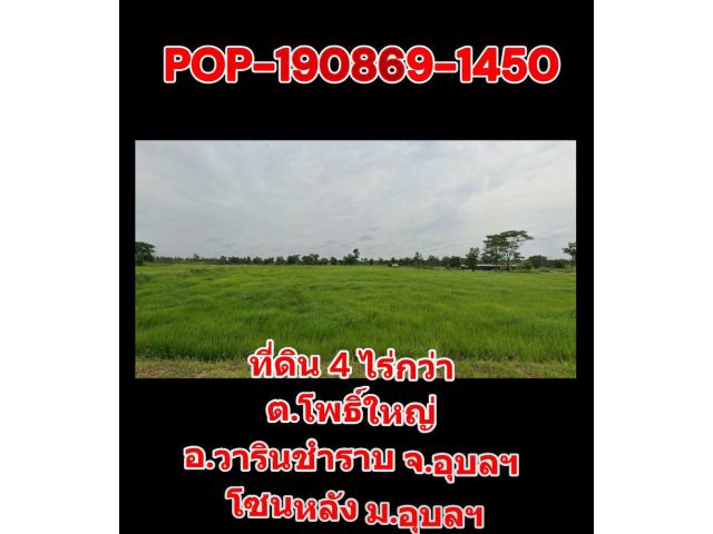 POP-190869-1450 ที่ดิน 4 ไร่กว่า ต.โพธิ์ใหญ่ อ.วารินชำราบ จ.อุบลฯ โซนหลัง ม.อุบลฯ
