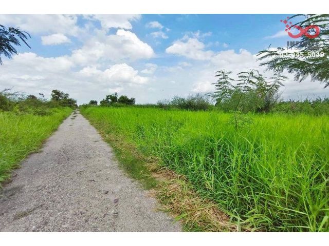 ขายที่ดิน 3 ไร่ ลำลูกกา คลอง 12 ปทุมธานี ใกล้สนามกอล์ฟเรนวูดปาร์ค แปลงสวย
