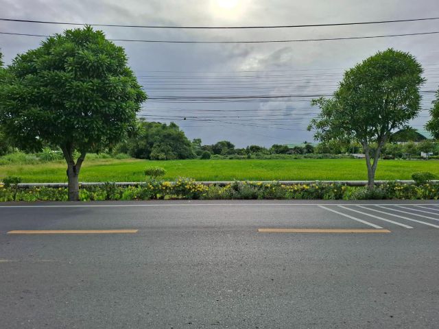 ขายที่ดินติดถนนคู้คลองสิบ หนองจอก หน้าติดถนน-หลังติดคลอง ประมาณ 3 ไร่เศษ ขายไร่ละ 8 ล้าน ใกล้แยกไฟแดงลำหิน