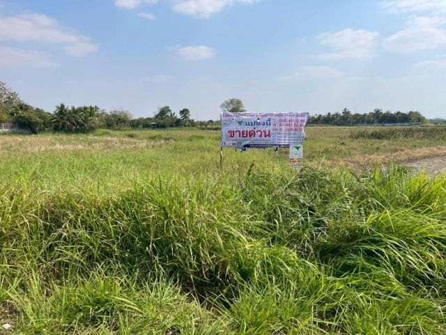 ขายที่ดิน 1-3-59.0 ไร่ ขามทะเลสอ จ.นครราชสีมา