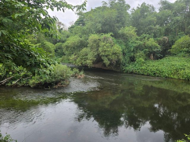 ที่ดิน8ไร่ติดคลองนครนายก