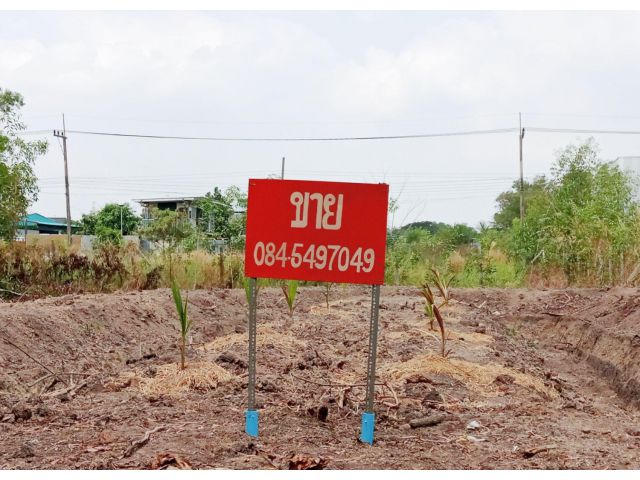 ขายที่ดิน 120 ตรว. เวิลด์คลับแลนด์ โครงการ 3 ต. คลองสี่ อ. คลองหลวง จ. ปทุมธานี เข้าซอยคลองหลวง 10 ไปเพียง 150 เมตร