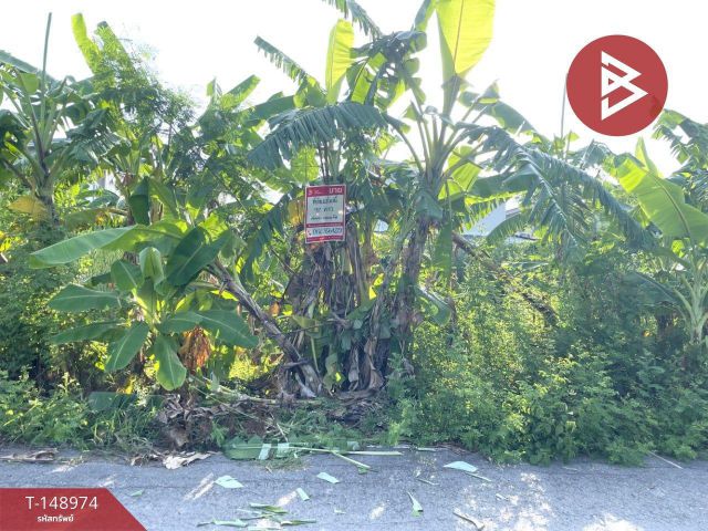 ขายที่ดิน เนื้อที่ 92 ตร.วา ถนนศาลายา 5/8 พุทธมณฑล นครปฐม