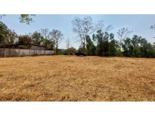 ที่ดินทำเลดี อำเภอเมือง ลำพูน ติดถนนหลวง 116 ลำพูน-ป่าซาง 4 เลน เนื้อที่ 3-2-29 ไร่
