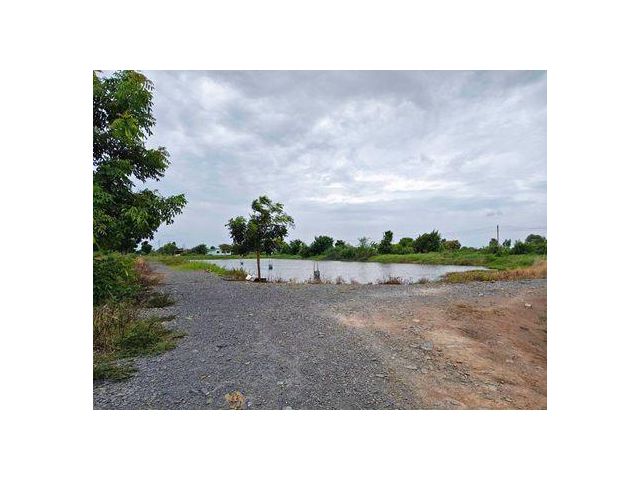 ขายที่ดินบ้านโพธิ์ฉะเชิงเทรา ที่ดินเนื้อที่รวมทั้งหมด 22-3-24 ไร่ (มีทั้งหมด 2 แปลง)