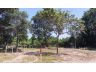 ที่ดิน 2 ไร่ เหลือแปลงสุดท้ายแล้ว อยู่ใกล้ถนนใหญ่เพียง 130 เมตร