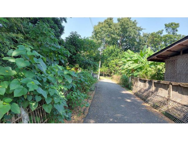 ที่ดิน 2 ไร่ เหลือแปลงสุดท้ายแล้ว อยู่ใกล้ถนนใหญ่เพียง 130 เมตร