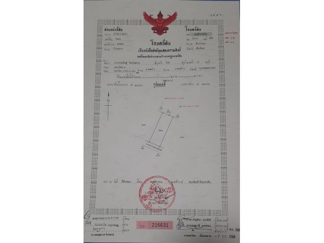ที่ดิน 2 ไร่ เหลือแปลงสุดท้ายแล้ว อยู่ใกล้ถนนใหญ่เพียง 130 เมตร
