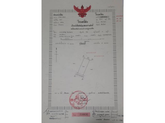 ที่ดิน 2 ไร่ เหลือแปลงสุดท้ายแล้ว อยู่ใกล้ถนนใหญ่เพียง 130 เมตร