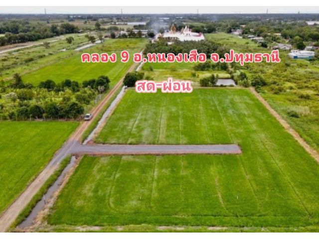 ที่ดินคลองเก้า ผ่อนได้ไม่มีดอกเบี้ย เหมาะทำบ้านสวนเกษตร