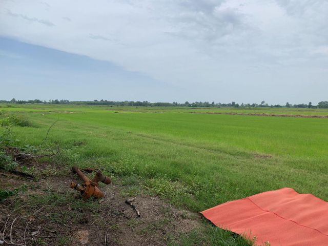 ขายที่ดิน 11 ไร่ 3 งาน อ.บางกระทุ่ม จ.พิษณุโลก ทำเลดี บรรยากาศร่มรื่น เหมาะสำหรับการลงทุน