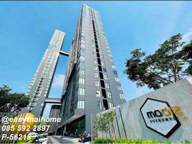 P-56218 คอนโดให้เช่า ชั้น 12 Modiz Sukhumvit 50 ห้องสวย แต่งครบ วิวเมือง พร้อมอยู่ ใกล้ BTS อ่อนนุช