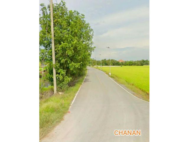 ขายที่ดิน ถ.3006 ใกล้โรงสีข้าวมูลนิธืชัยพัฒนา อ.ลาดบัวหลวง จ.พระนครศรีอยุธยา เนื้อที่17ไร่181ตรว