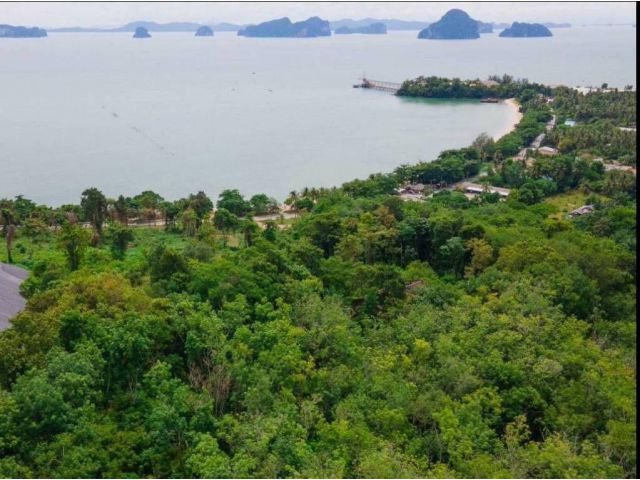 Land for sale at Laem Pong Beach, krabi, Price 12 MBT/rai