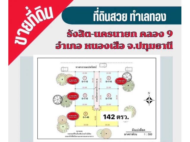 ด่วนๆที่ดินเงินผ่อนมาแล้ว คลองเก้า อ.หนองเสือ จ.ปทุมธานี ผ่อนเพียงเดือนละ 8,000 บาท/เดือน