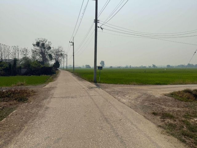 ขายที่ดิน 225 ตรว. ทำเลดีใกล้ชุมชนห่างถนนใหญ่ 200 เมตร