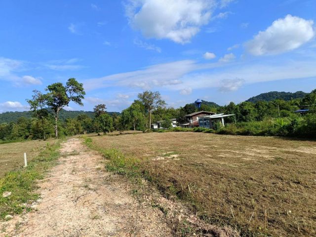 ขายที่ดินเปล่า ทำเลดี