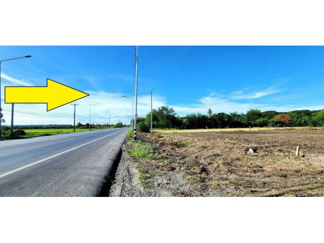 ขายที่ดินติดถนนลาดยาง คลอง11 ธัญบุรี-ลำลูกกา