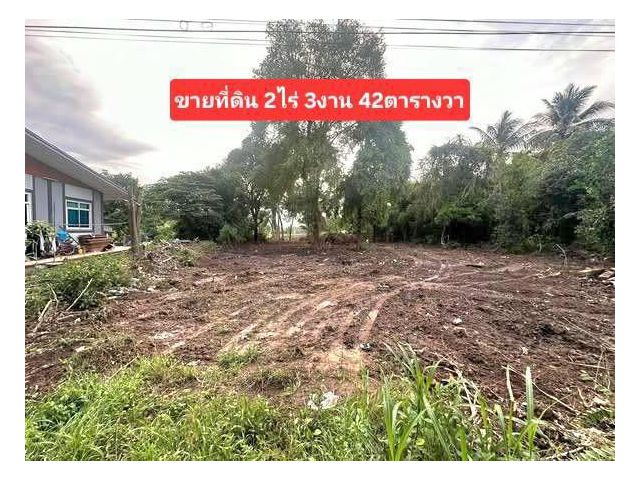 ขายที่ดินติดแม่น้ำเจ้าพระยา อำเภอพยุหะคีรี นครสวรรค์
