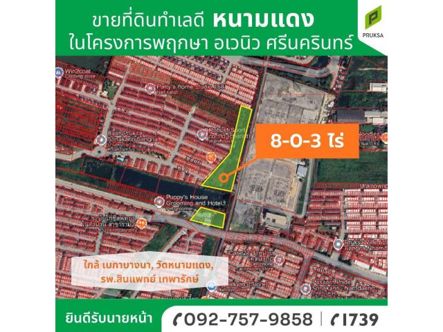 ขายที่ดินในโครงการพฤกษา อเวนิว ศรีนครินทร์
