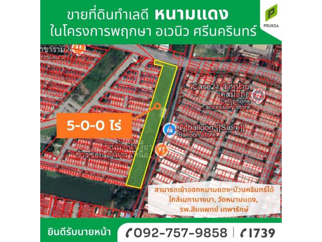ขายที่ดินในโครงการพฤกษา อเวนิว ศรีนครินทร์ หนามแดง