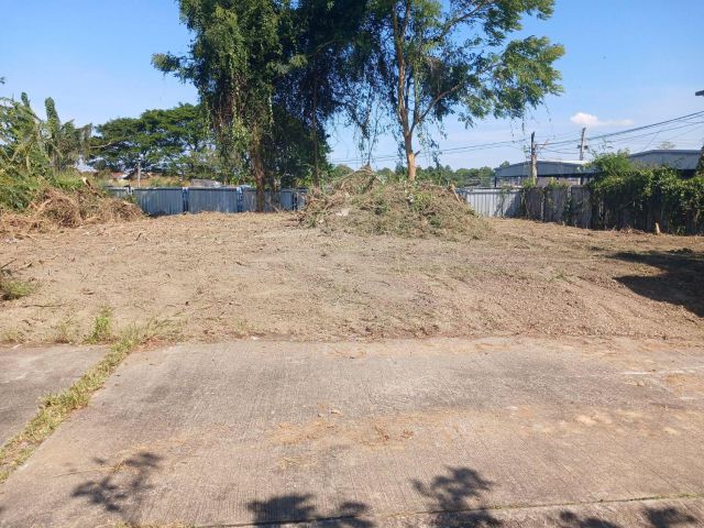 ขายที่ดิน 94 ตรว. หมู่บ้านตำหนักนคร ต.หนองควาย อ.หางดง