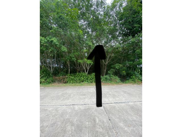 ขายสวนยาง3ไร่ อยู่ ตะพง เมือง ระยอง